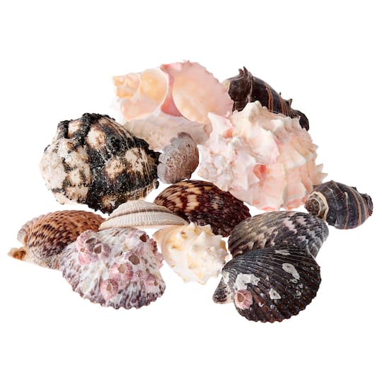 6 Pack: U.S. Shell Garden Bag